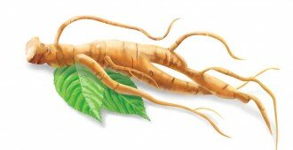 Ginseng